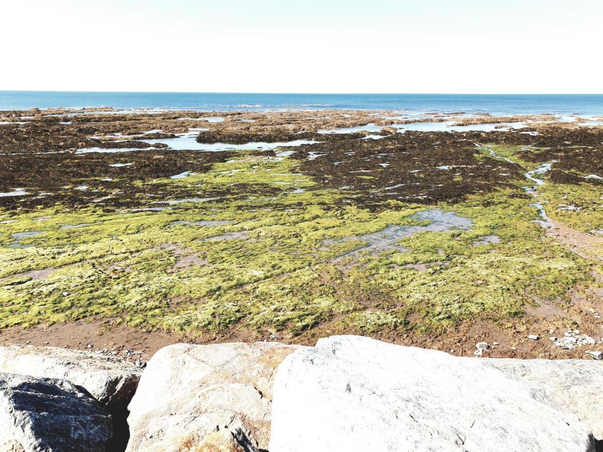 Le Temps D'Une Pause Brétignolles-sur-Mer Eksteriør billede